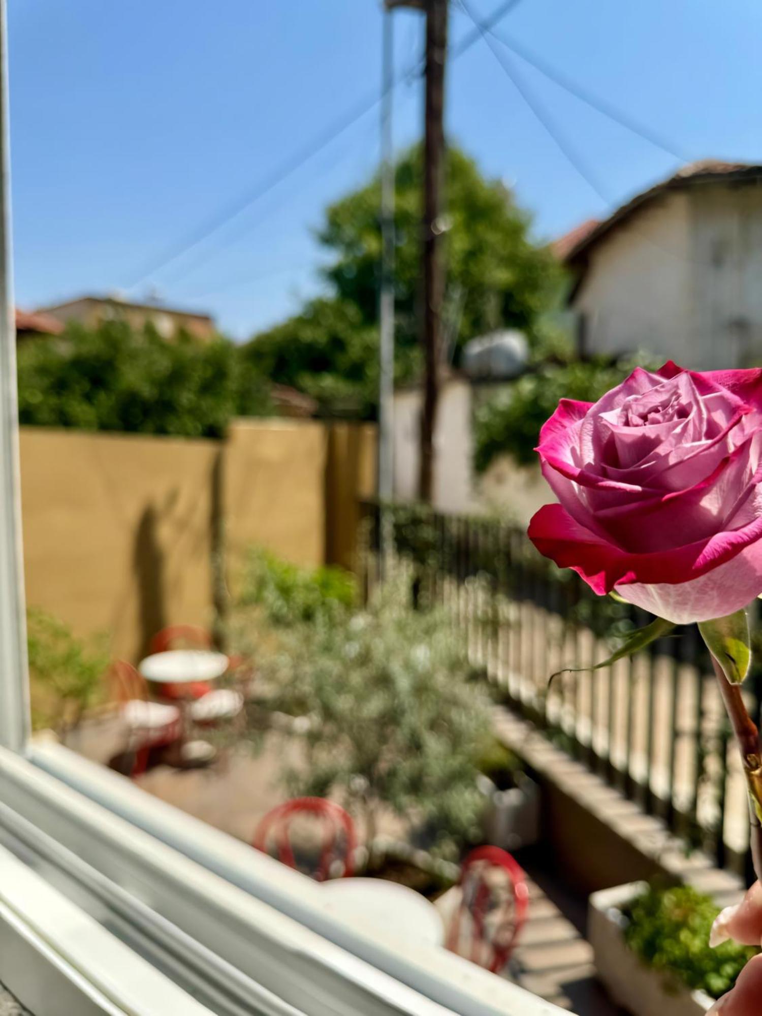 Vila Panto Tirana Exterior photo
